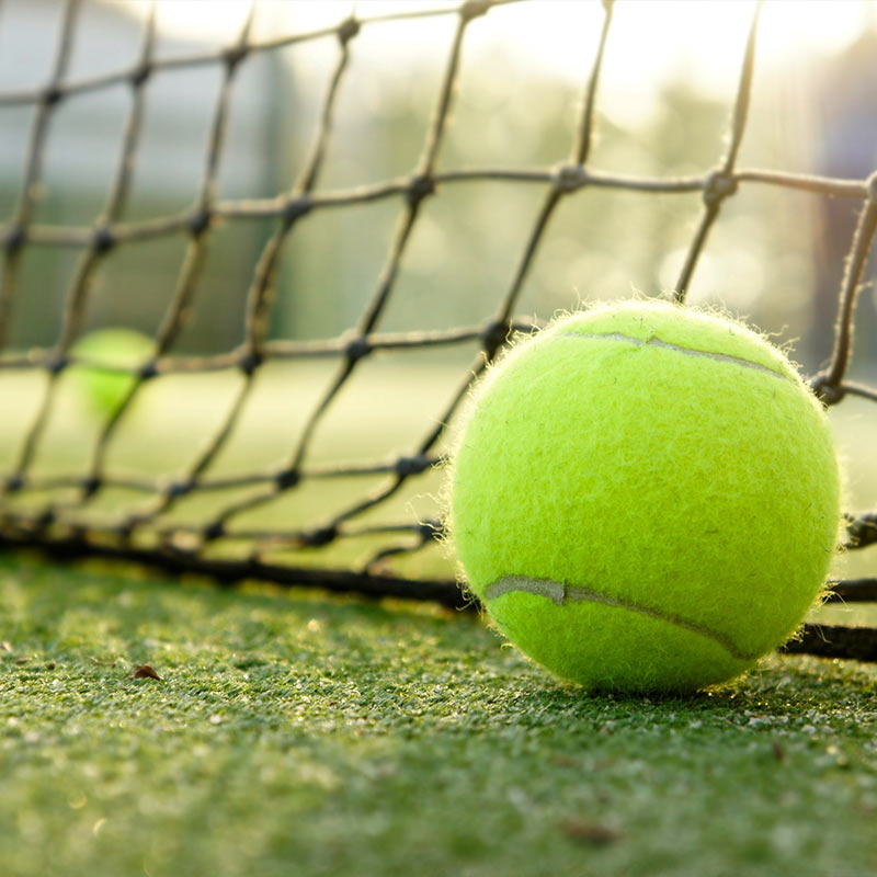 A tennis ball by the net on a tennis court
